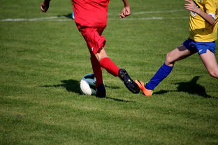 乐鱼体育app官网下载-“拳王争霸：四川省体育馆拳击赛将诞生新的世界拳王”